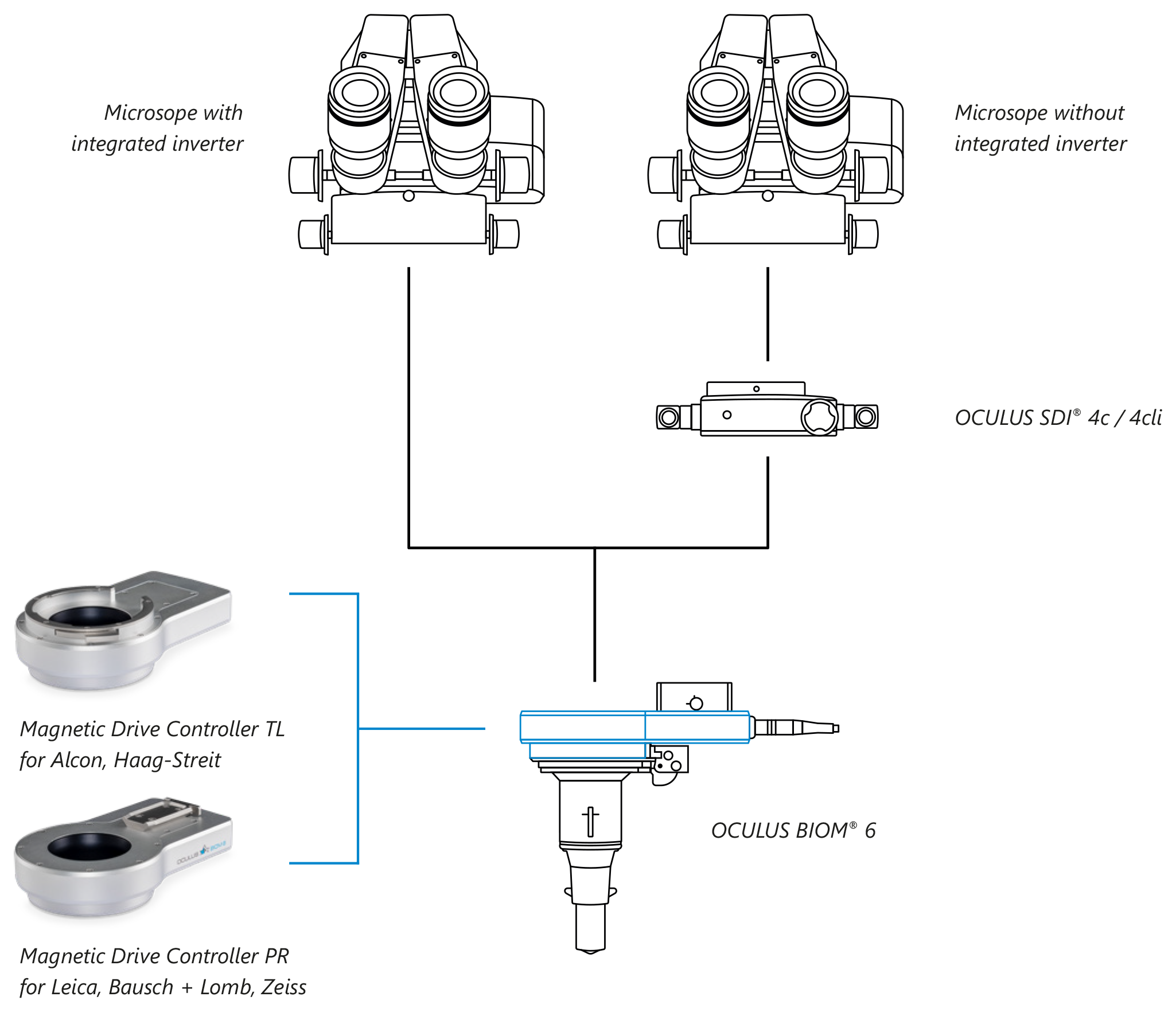 biom6_adaptation_possibilities_en_2050x1765